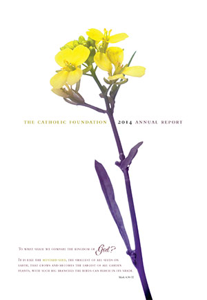 cover image for 2014 annual report